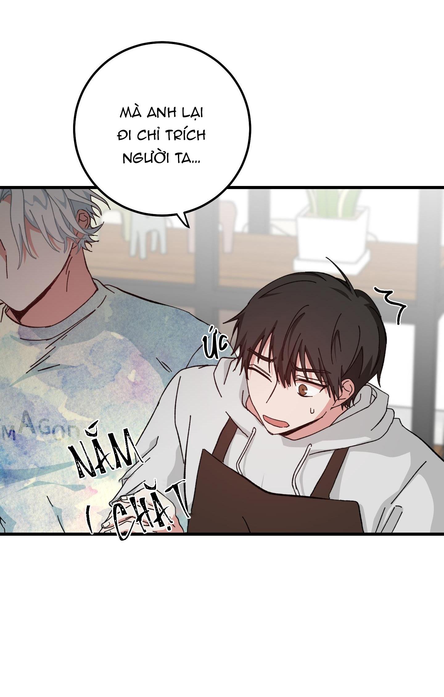 yêu tôi đi, thần hộ mệnh chapter 11 4