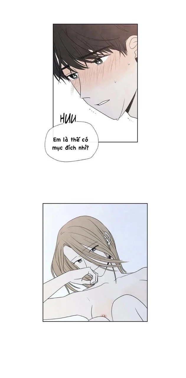 summer solstice point chapter 19 39