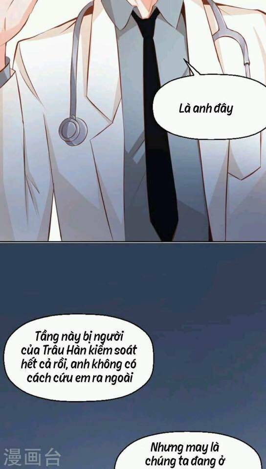 người vợ bí ẩn của tổng tài chapter 14 19