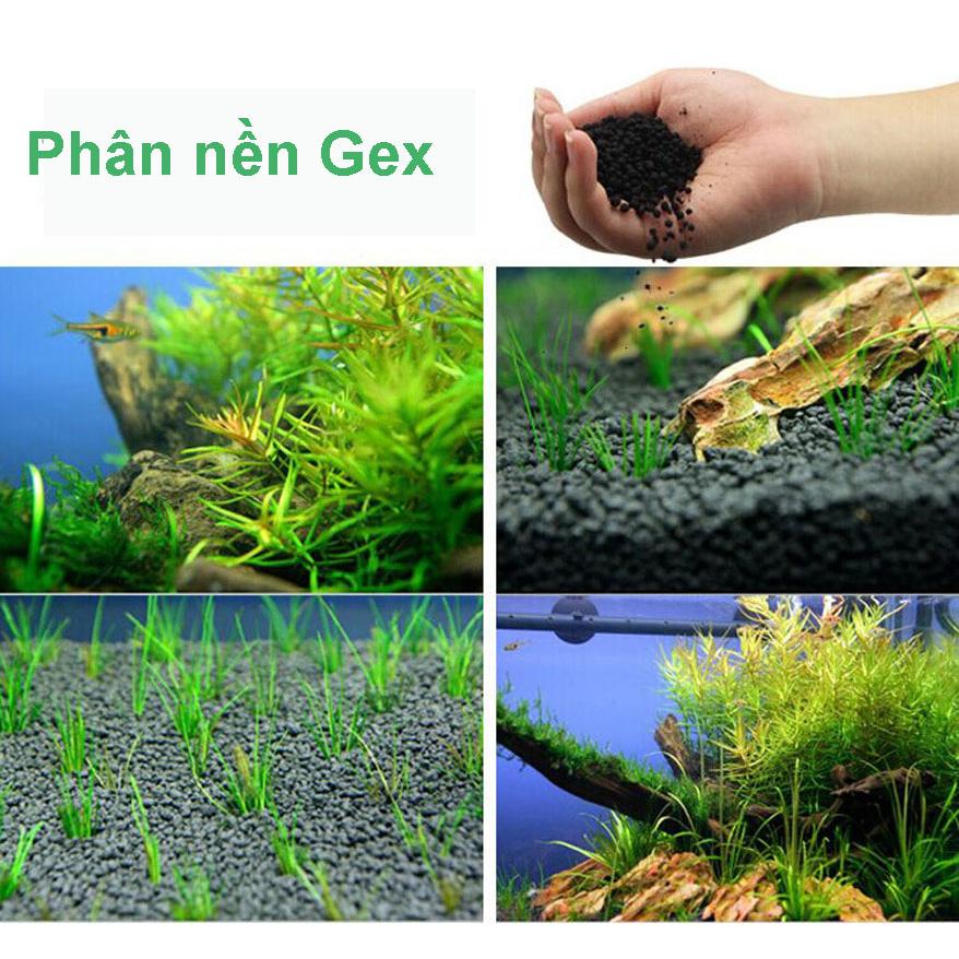 Combo Đá Nham Thạch (1kg) + Phân nền GEX 2kg (Xanh) hồ thủy sinh