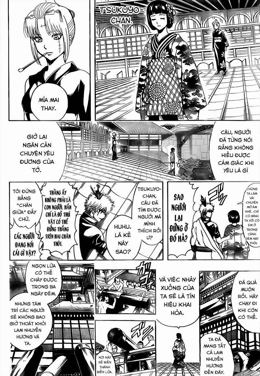 gintama - linh hồn bạc chapter 495 7