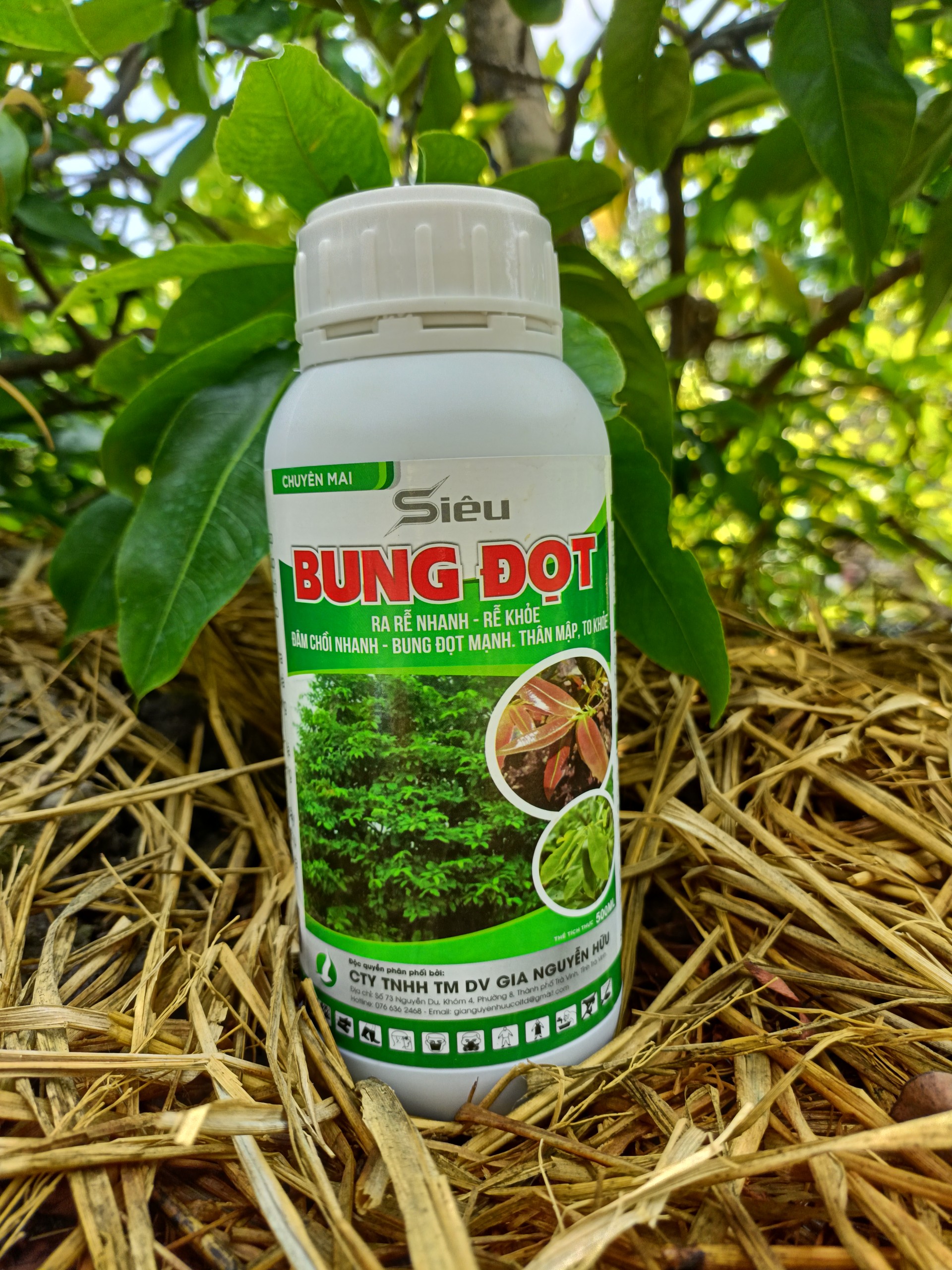 SIÊU BUNG ĐỌT DÀNH CHO MAI GIÚP CÂY ĐÂM CHỒI NHANH, BUNG ĐỌT MẠNH CHAI 500ML
