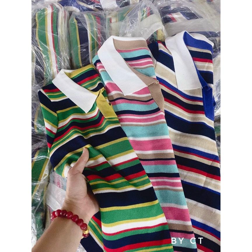 Áo len polo kẻ ngang sắc màu