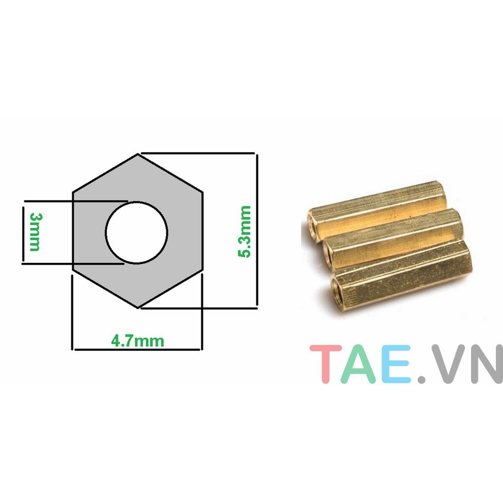 Ốc Đồng M3 Cái- Cái Lục Giác