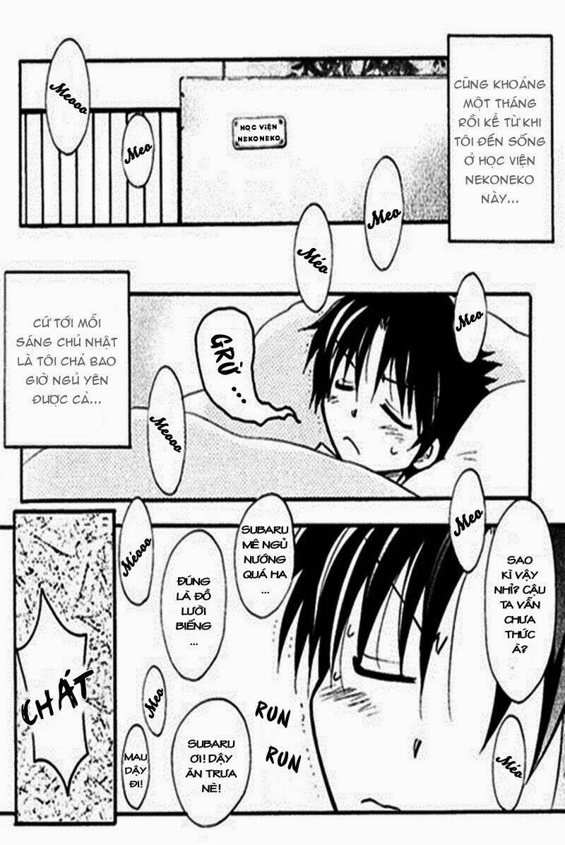 boku x neko? chapter 3.1 3