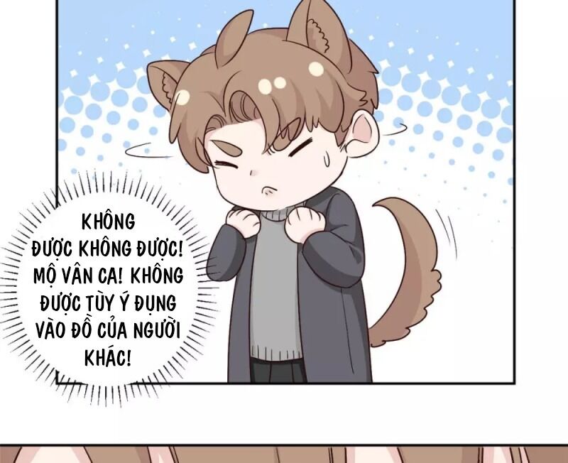 tổng tài, tránh xa tôi ra chapter 61 24