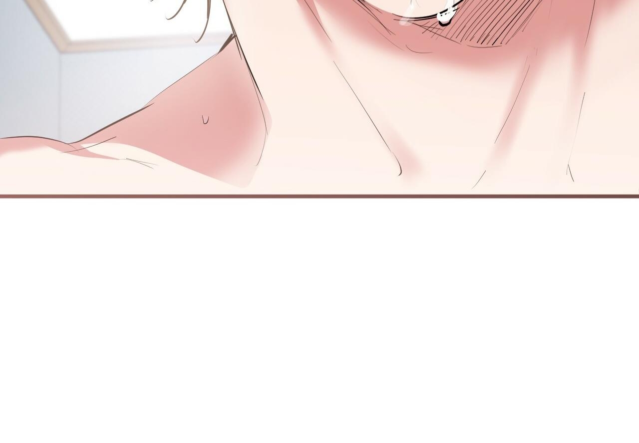 đàn thỏ của habibi chapter 38 111