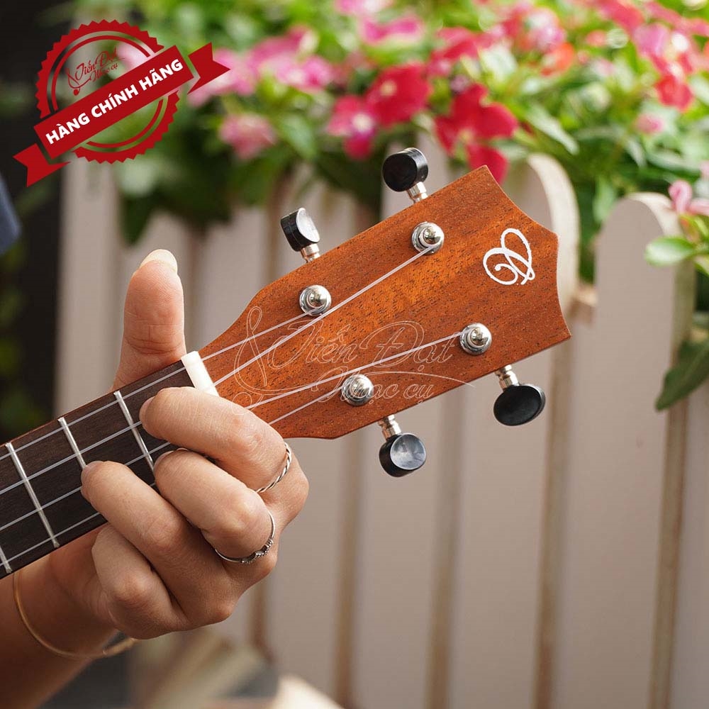 Đàn Ukulele Concert CHARD UK-24M, Mặt Đàn Gỗ Nato, Màu Nâu Gỗ, Dễ Chơi