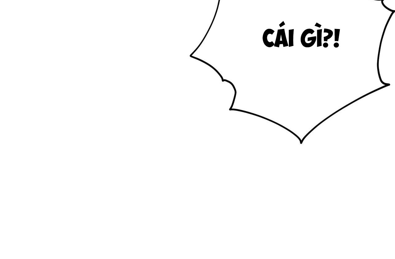 chàng dâu nhà họ kang chapter 42 135