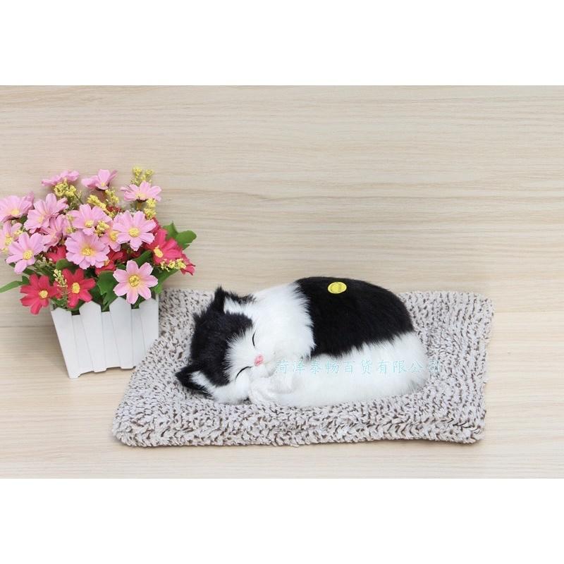 Chó mèo than hoạt tính trang trí xe oto,để bàn làm việc
