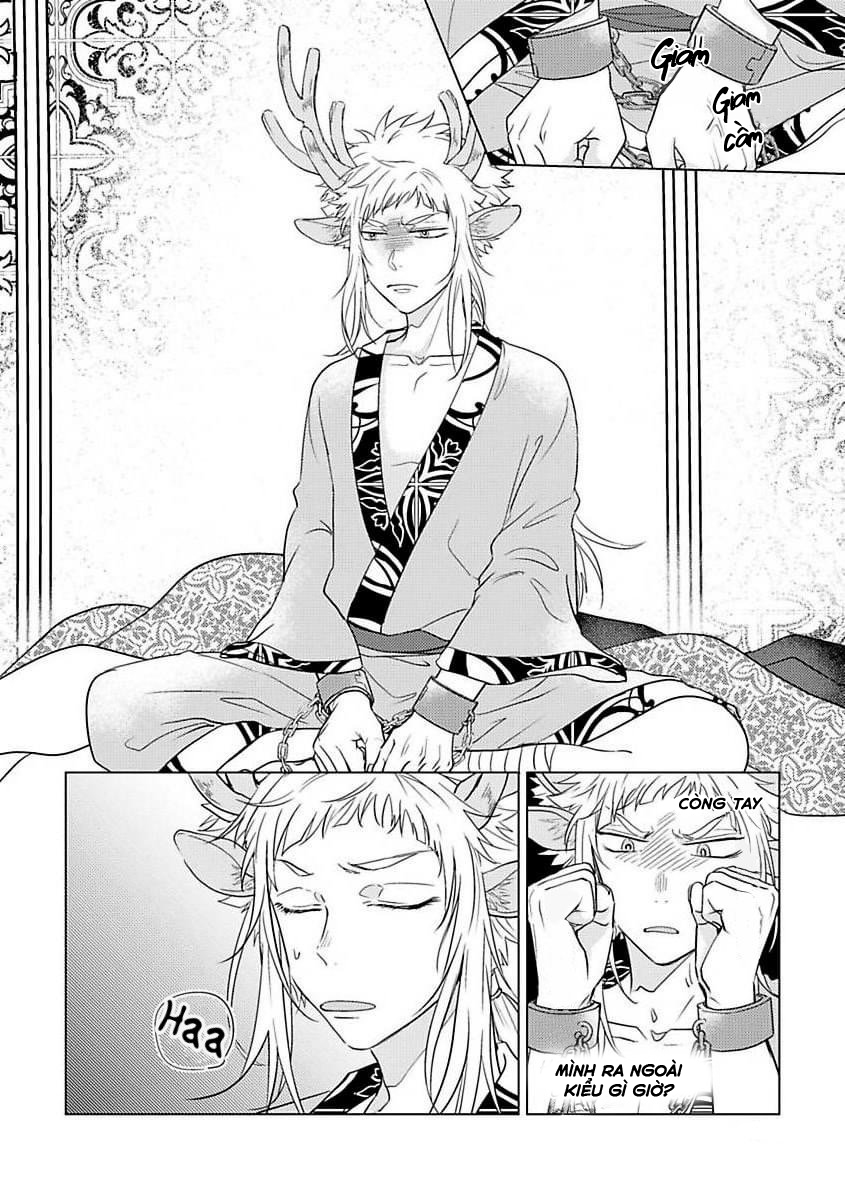 gặp gỡ em, thú nhân màu chàm trắng chapter 1 24