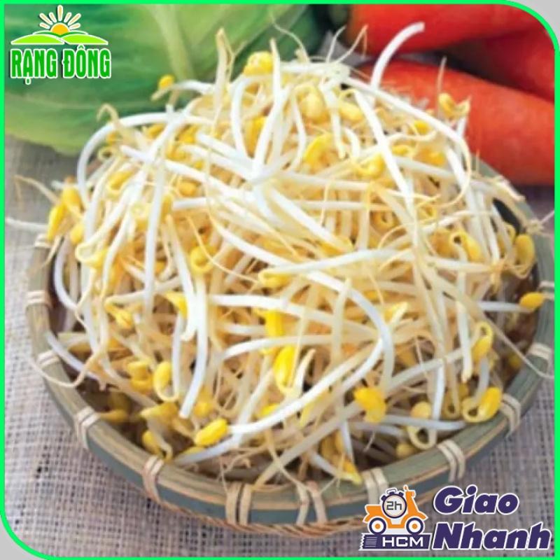 Hạt giống Rau Mầm Giá Đậu Xanh Dễ Trồng, Thu Hoạch Nhanh - Hạt Giống Rạng Đông