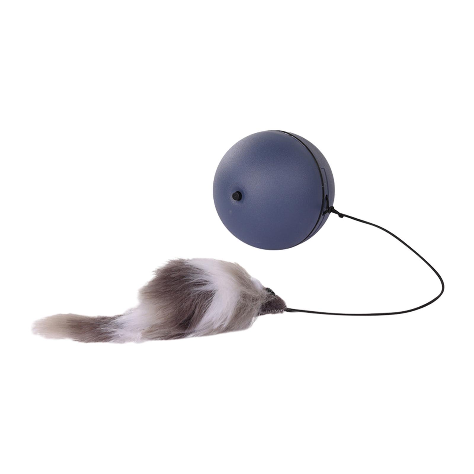Interactive Toy Interactive Cat Toys Ball Teaser Toys Catcher Toy Feather Toy Electric Cat Balls for Cats Exercise
