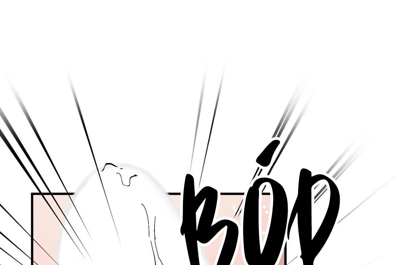 chàng dâu nhà họ kang chapter 46 48