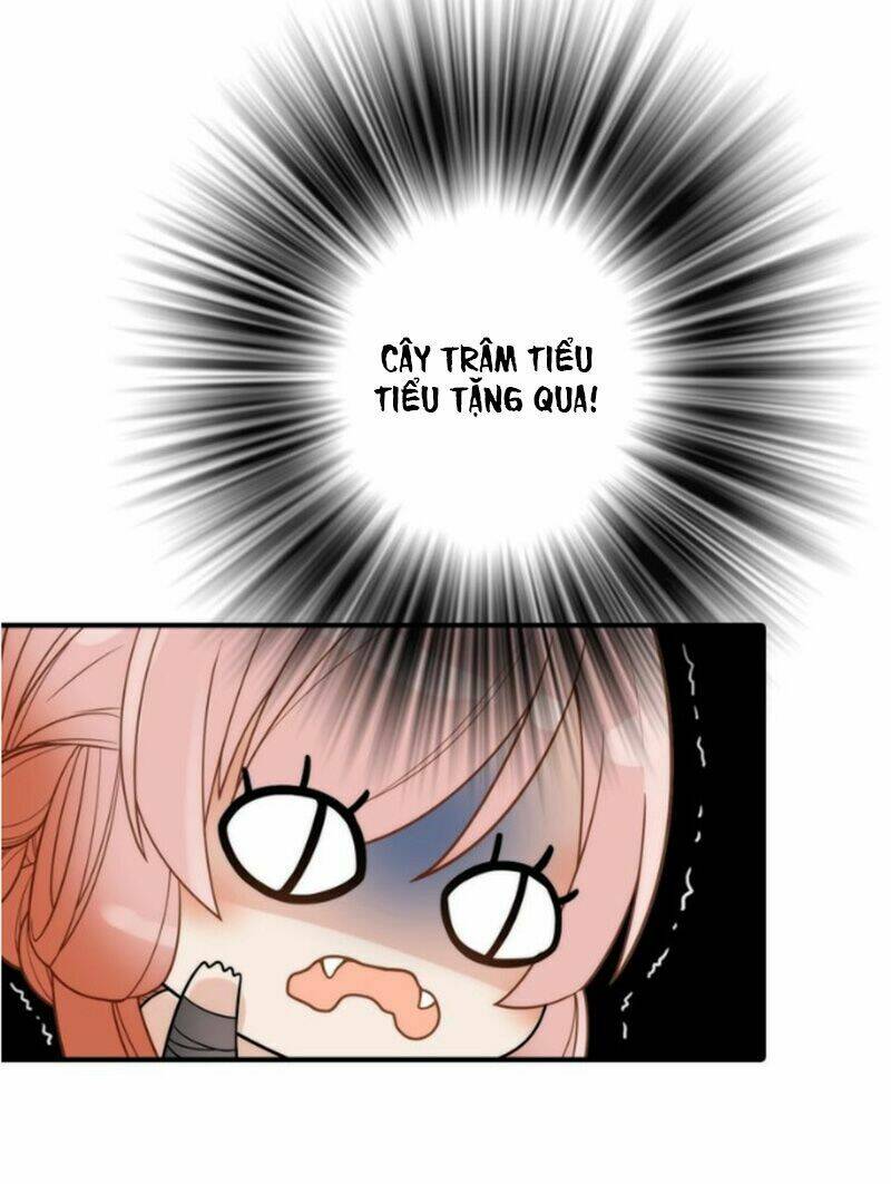 cướp chàng vợ về đón năm mới chapter 25 33