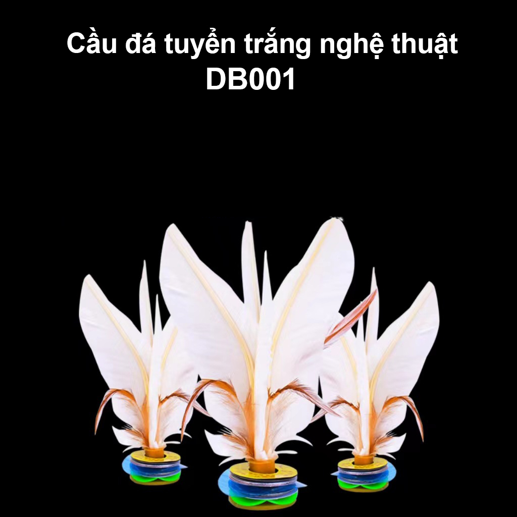 Cầu đá tuyển trắng nghệ thuật DB001