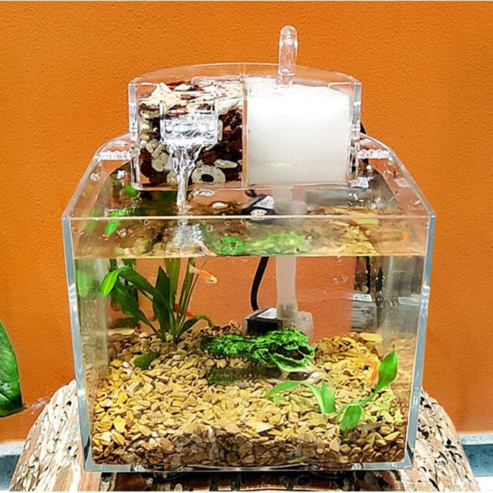 Desktop Aquarium with Water Filtration Quiet Air Pump