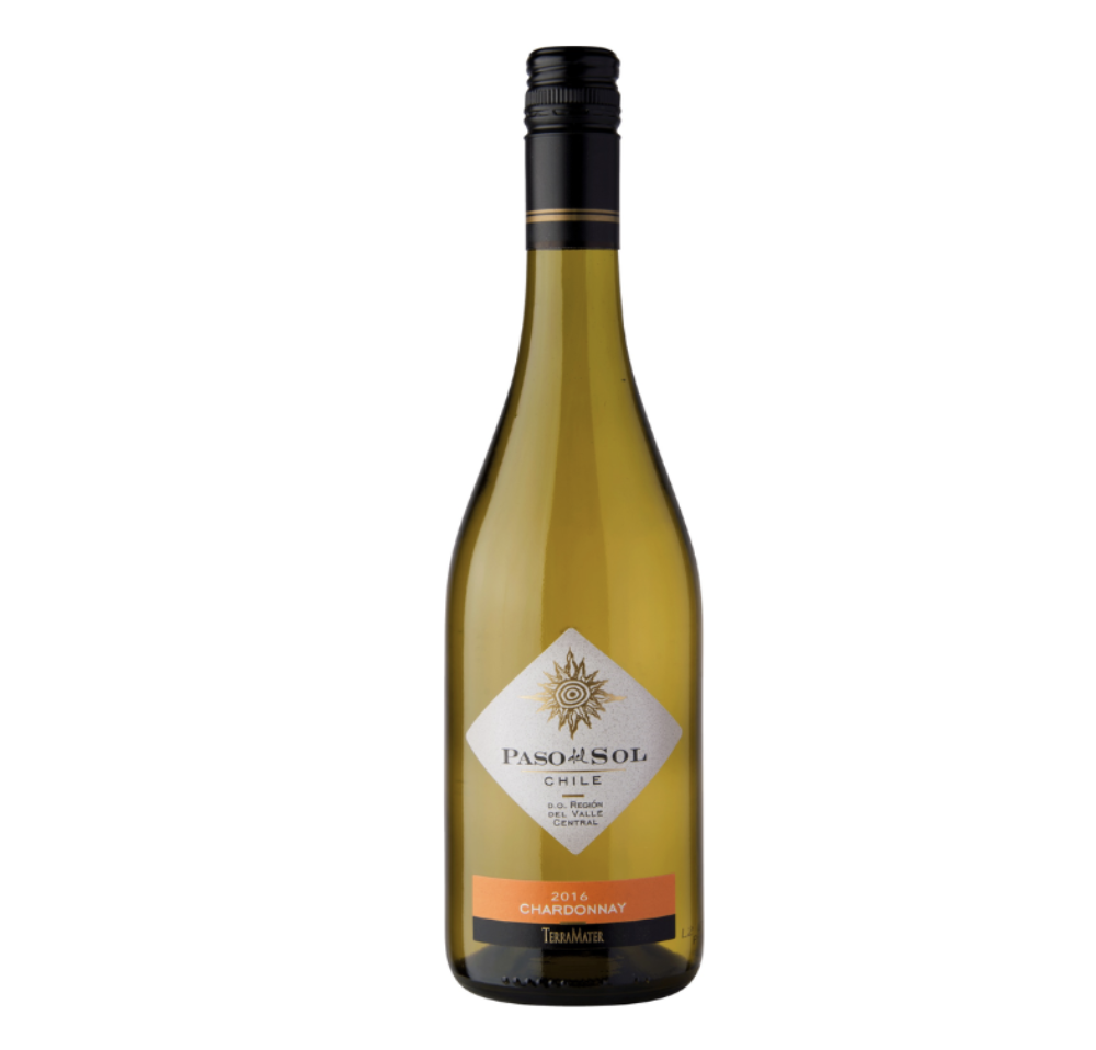 Rượu Vang Trắng Chile TerraMater Paso Del Sol Chardonnay