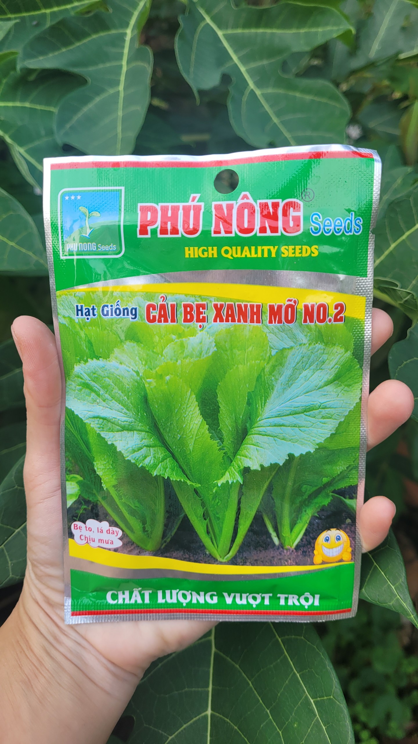 Hạt giống Cải bẹ xanh mỡ NO.2 Phú Nông gói 20 gram