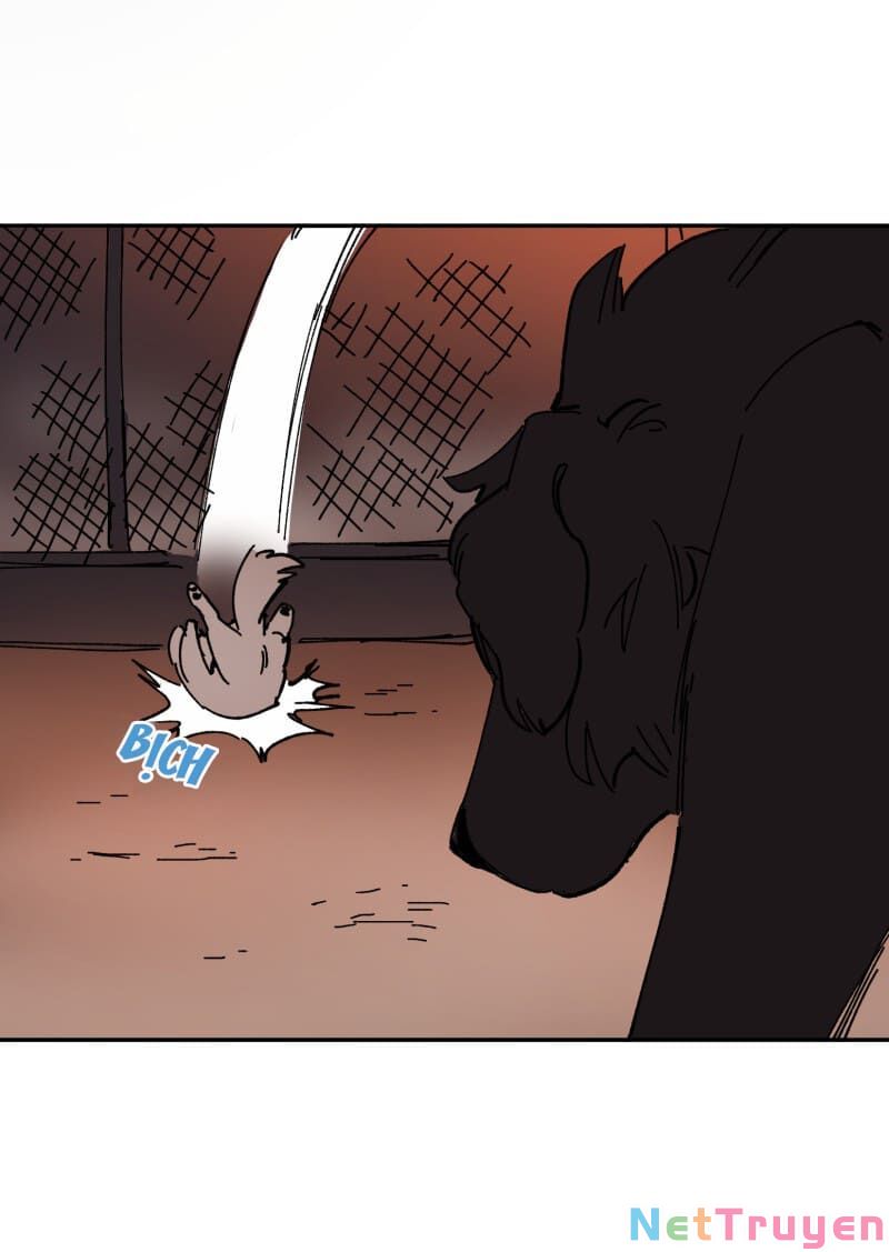 lumine - cội nguồn ánh sáng chapter 113 40