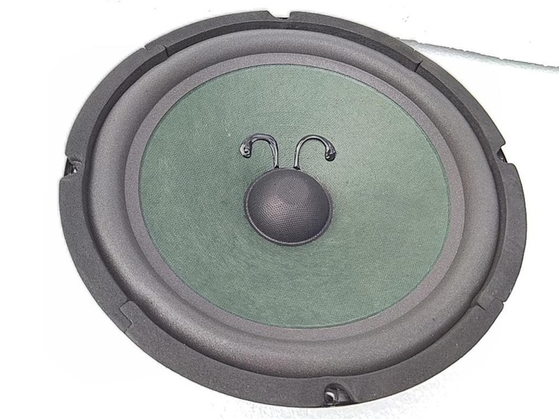 CỦ LOA BASS 25 (2,5 TẤC) HE TỪ 120 CÔN 36 MÀNG XANH GÂN MÚT