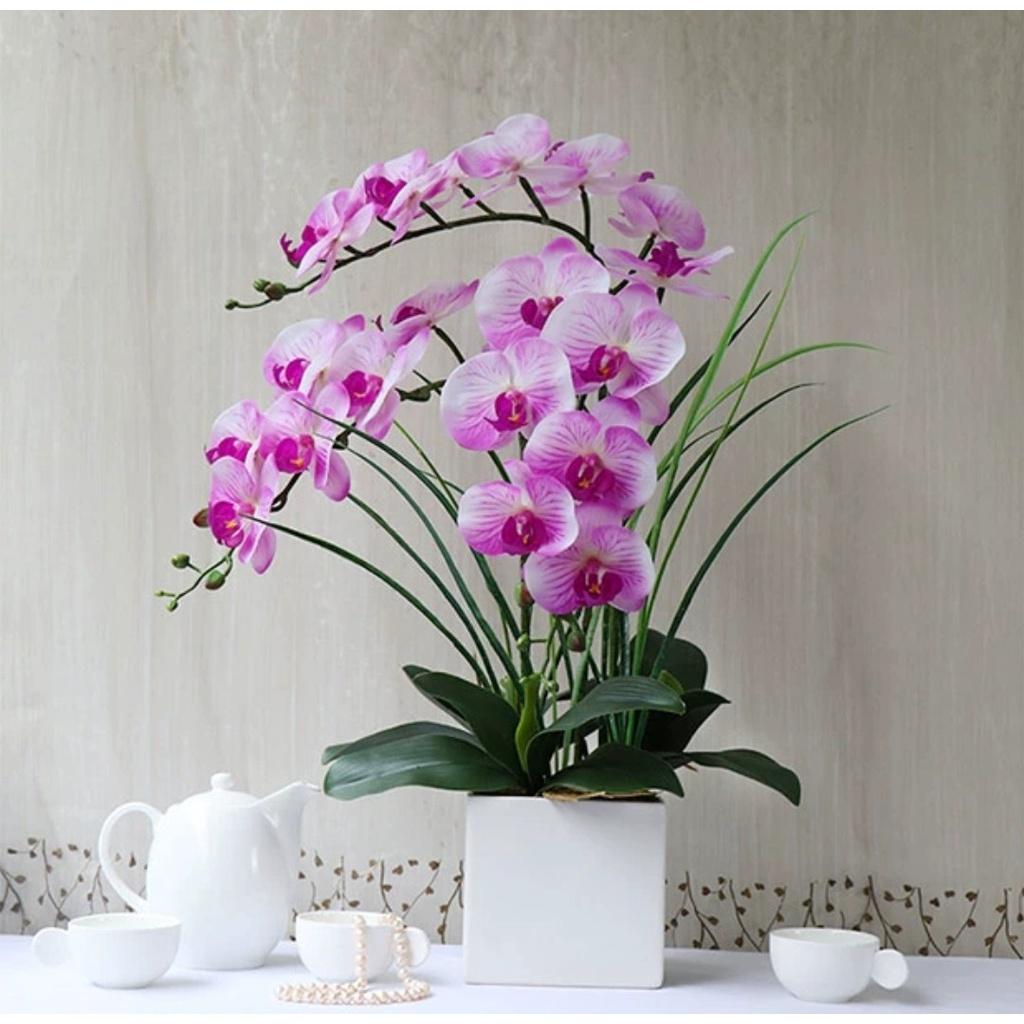 Hoa giả, bình hoa lan hồ điệp đẹp giống thật để bàn trang trí nhà cửa sang trọng Flowermini LD-03