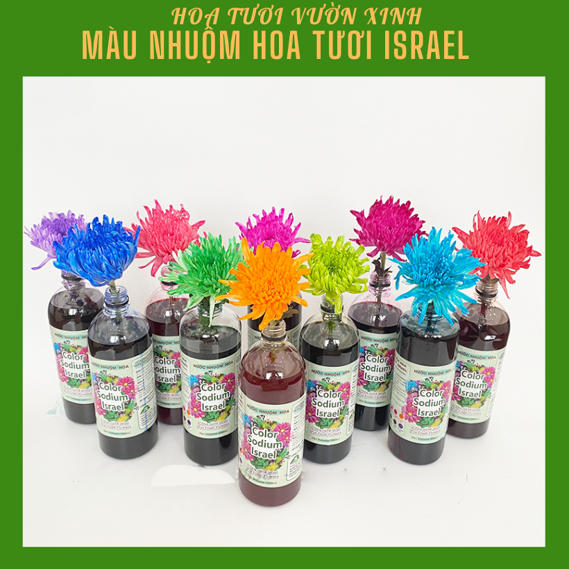 Màu Nước Nhuộm Màu Hoa Tươi Israel thành phần hữu cơ (Chai 1 lít) đổi màu hoa theo ý muốn, màu không lên lá