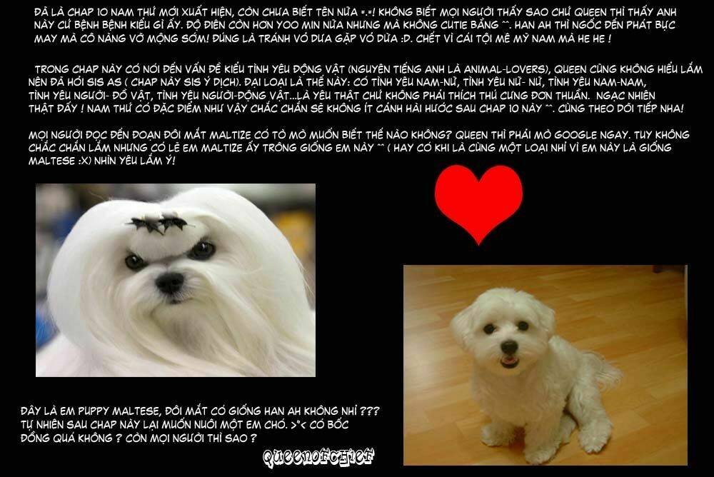 cutie boy chapter 10 51