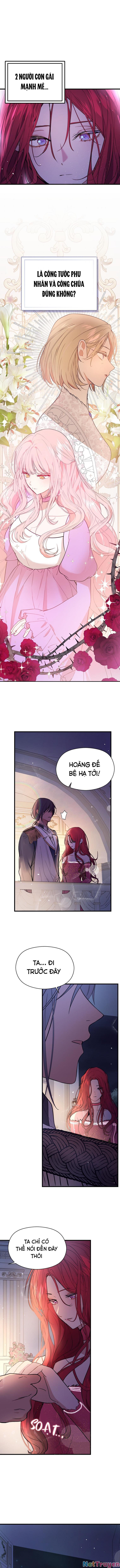 tôi không cố ý quyến rũ nam chính đâu! chapter 42 1