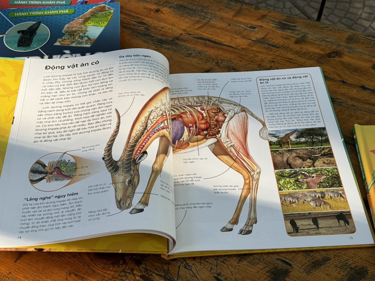 HÀNH TRÌNH KHÁM PHÁ – ĐỘNG VẬT_Gerald Legg &amp; Steve Weston- Hà Như Hoa dịch- Tân Việt - NXB Mỹ Thuật