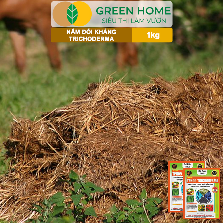 Men Vi Sinh Nấm Trichoderma Greenhome, Bao 1kg, Ủ Phân Hữu Cơ, Ủ Rác,Khử Mùi, Cải Tạo Đất
