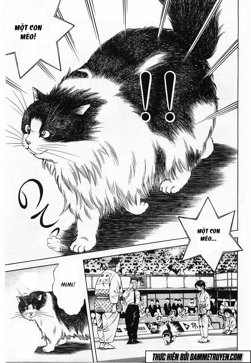 shin kotaro makaritoru! juudouhen chapter 61 11