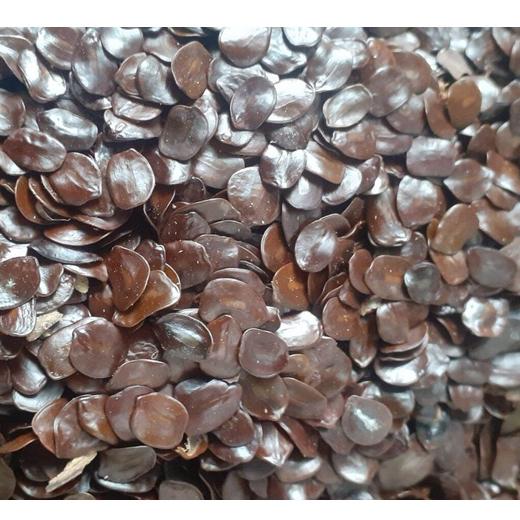 Hạt giống muồng đen túi 50gram