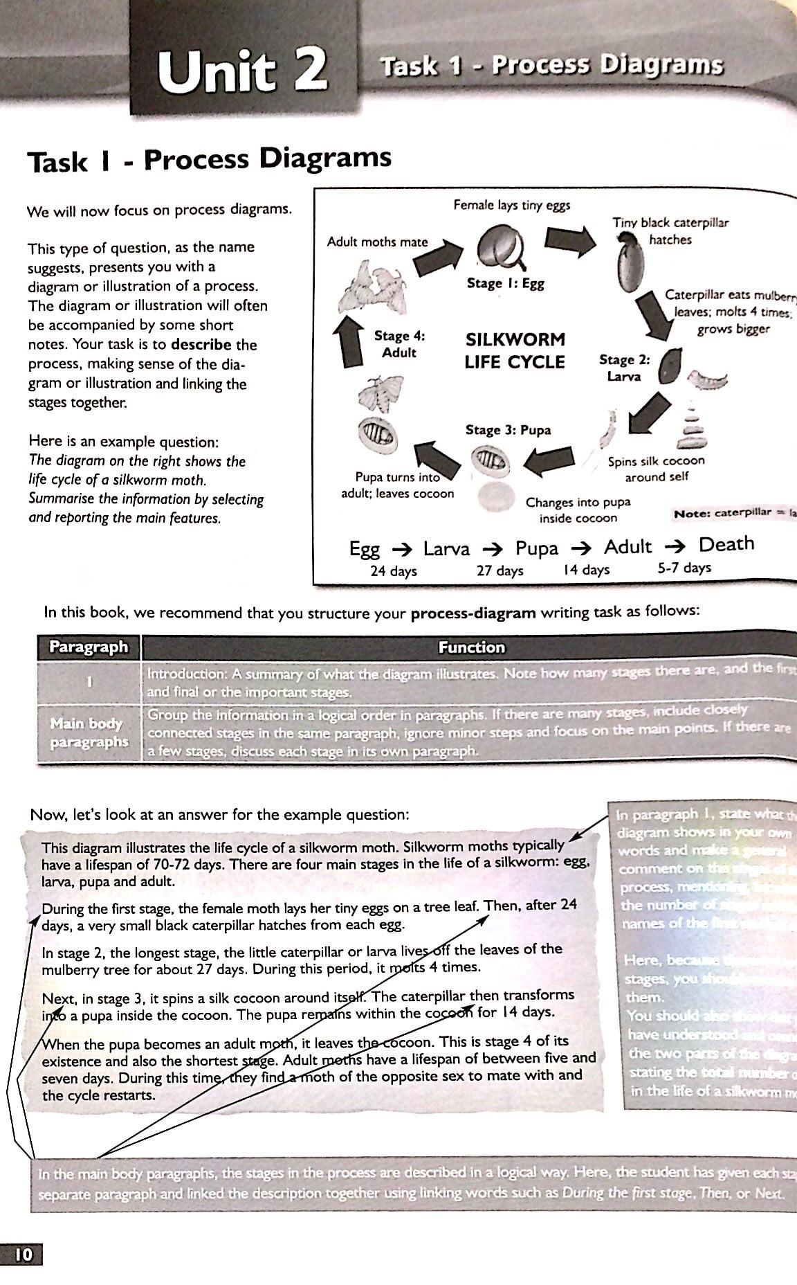 Succeed in IELTS Writing 