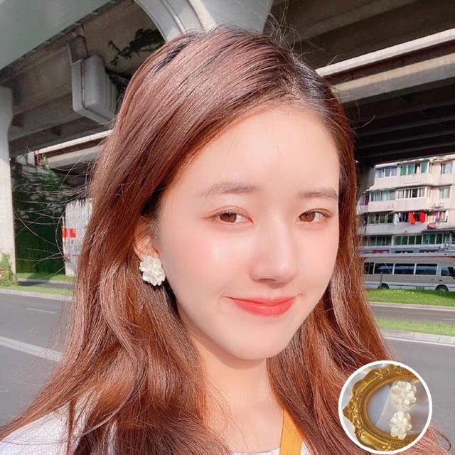 Hoa tai bông hoa màu tím và trắng Khuyên tai phong cách hàn quốc