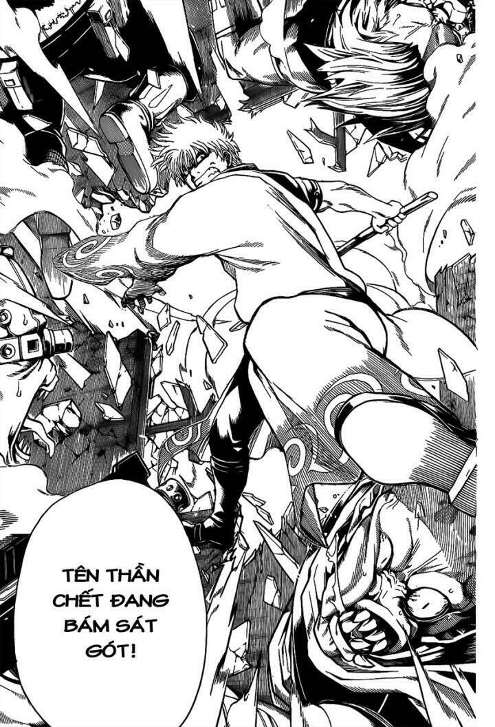gintama - linh hồn bạc chapter 560 13
