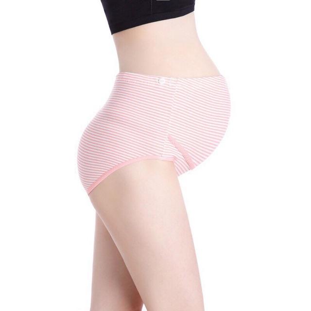 Chip Bầu cạp cao - Sọc nâu,2XL(67-75kg)