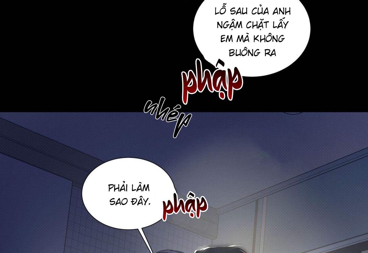 dải hợp âm trên đại dương xanh chapter 43 82