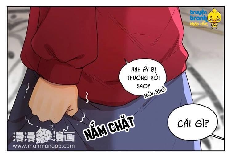 cứu mạng ! loài mèo thống trị thế giới rồi ! chapter 30 5