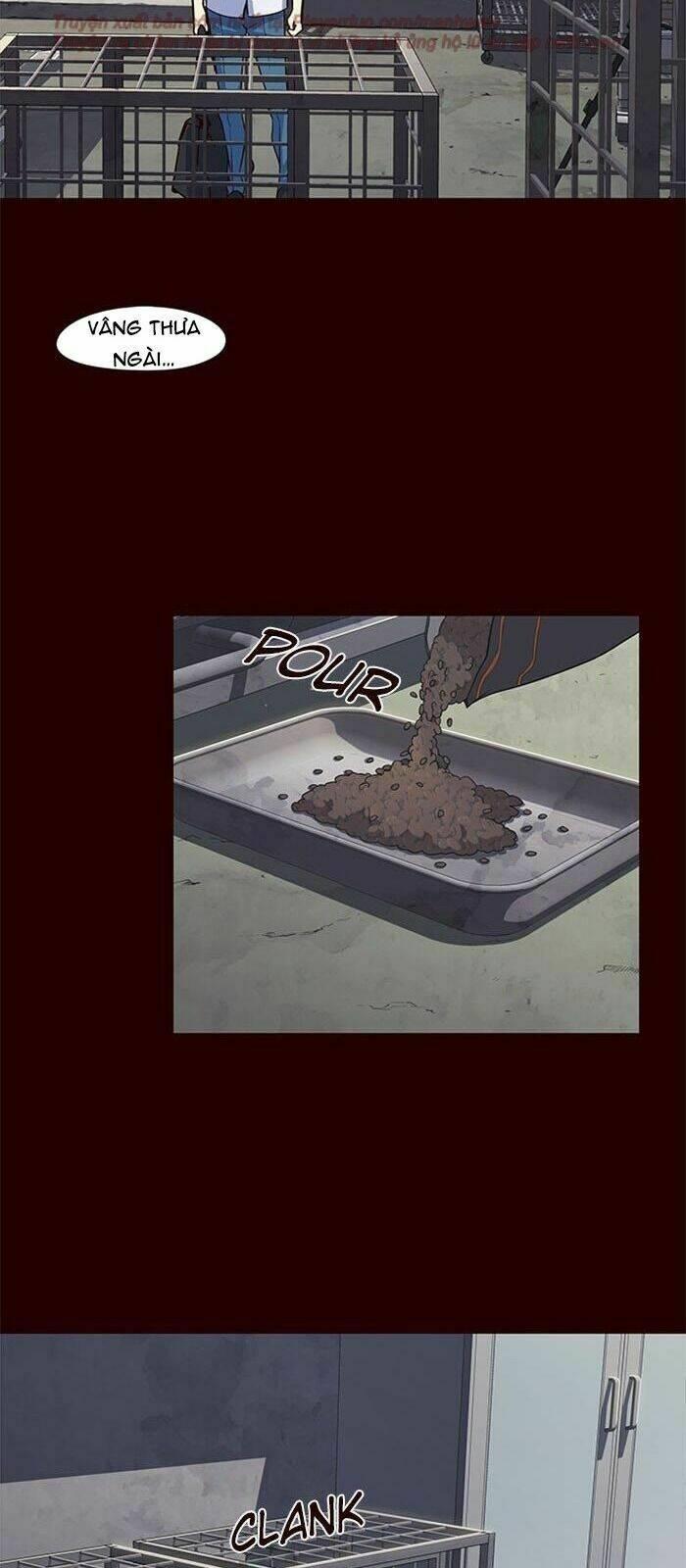 biến thân thành mèo chapter 36 24