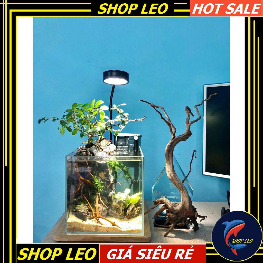 Đèn Led Kệ gỗ BamBoo 5W - Đèn đế gỗ