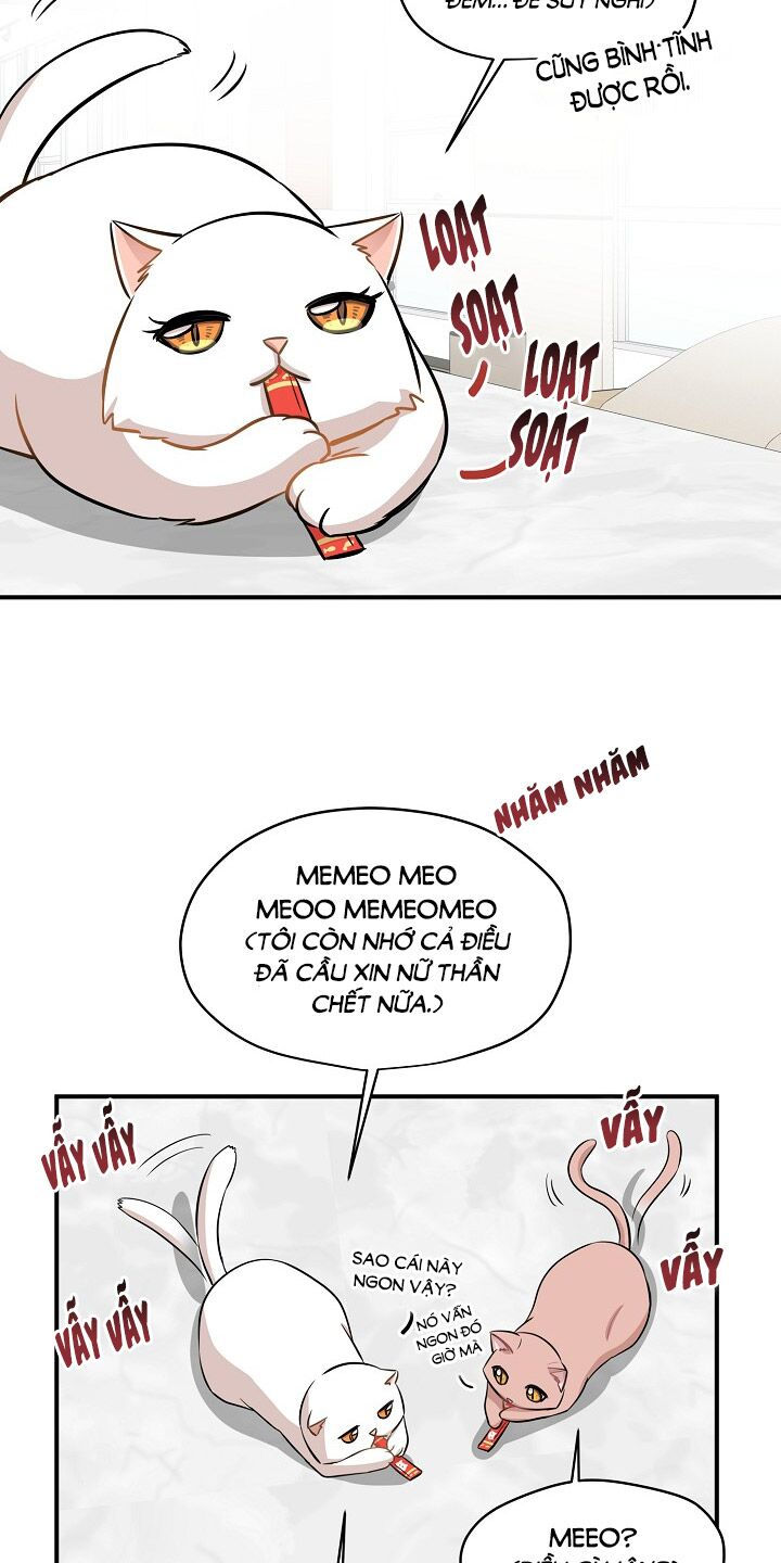 cuộc sống kỳ thú chapter 44 48