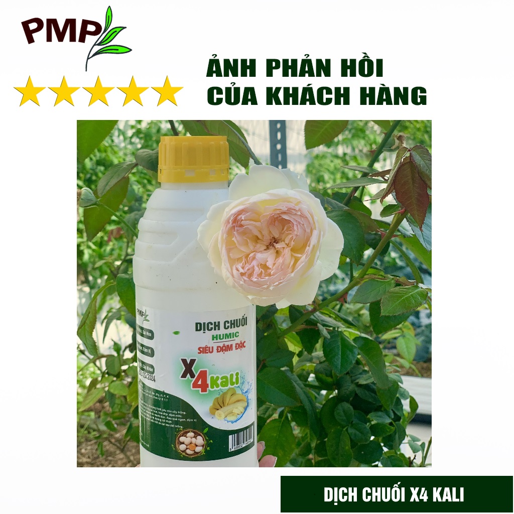 Phân Bón Hoa Hồng Combo Phân Đậu Nành Soymic - Dịch Chuối Humic ( 2 Chai x 1 L)