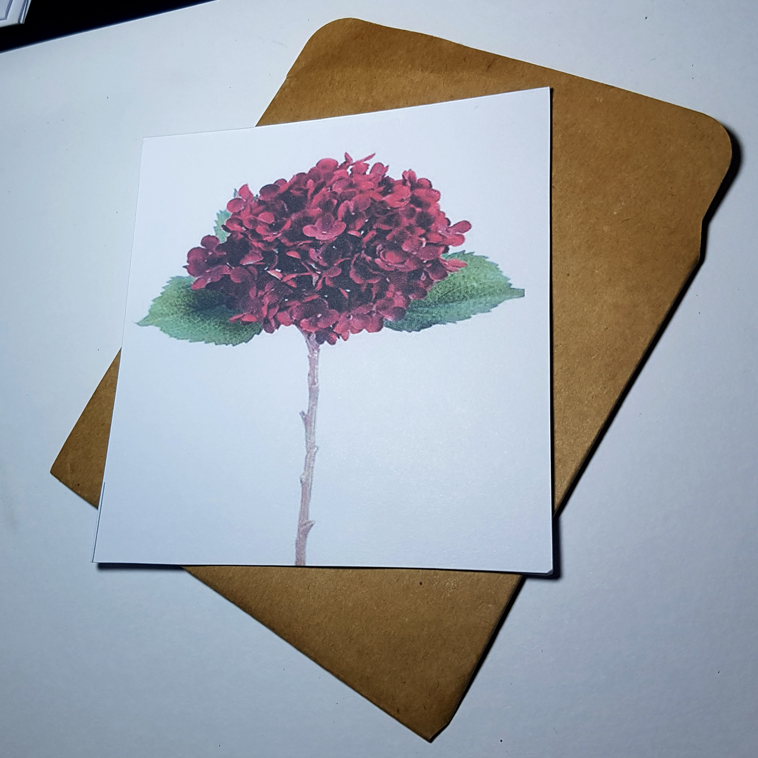 Thiệp phong cách Vintage card quà cám ơn ,chúc mừng sinh nhật và giử tặng người thân yêu.