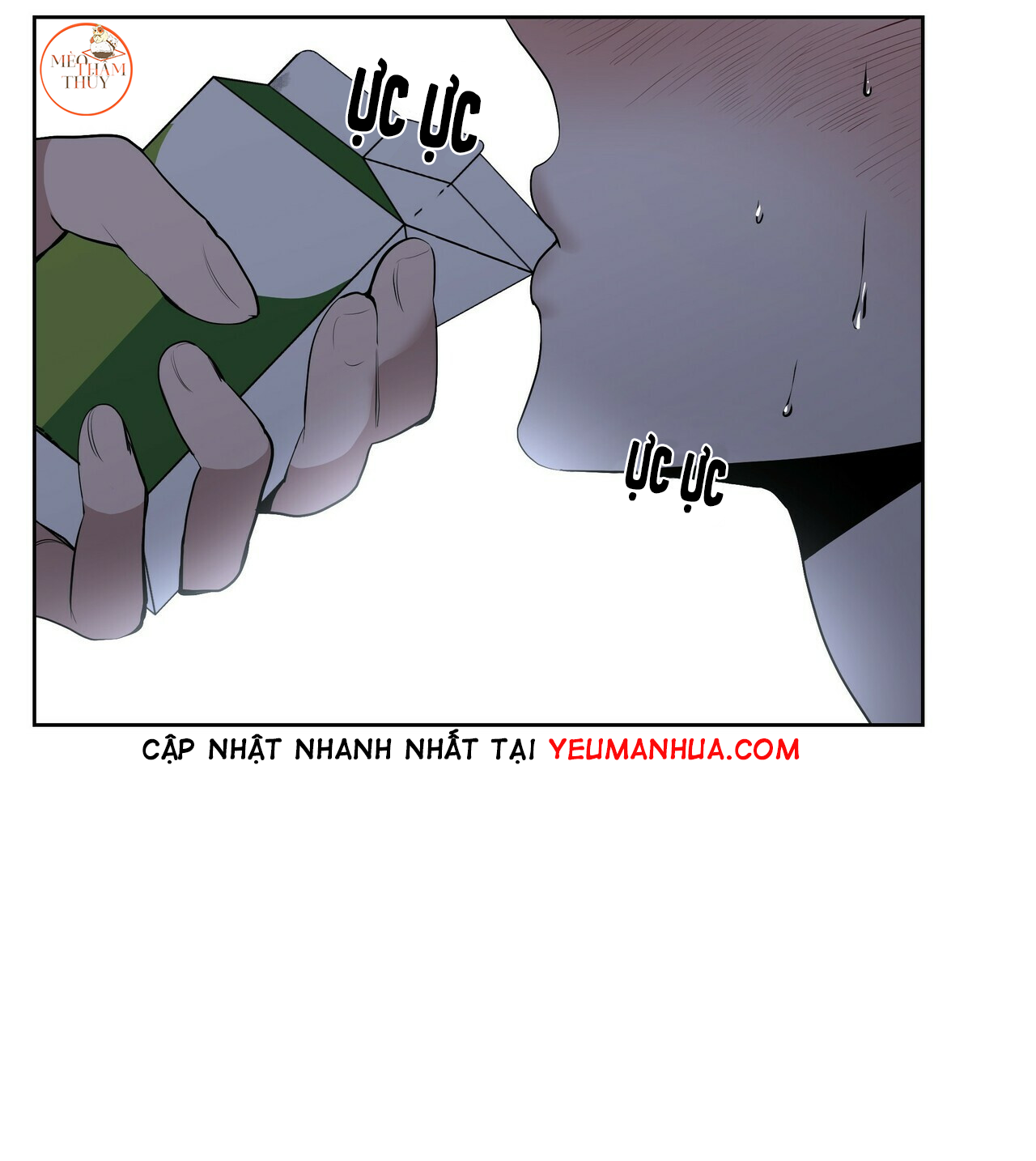 hội chứng chapter 12 52