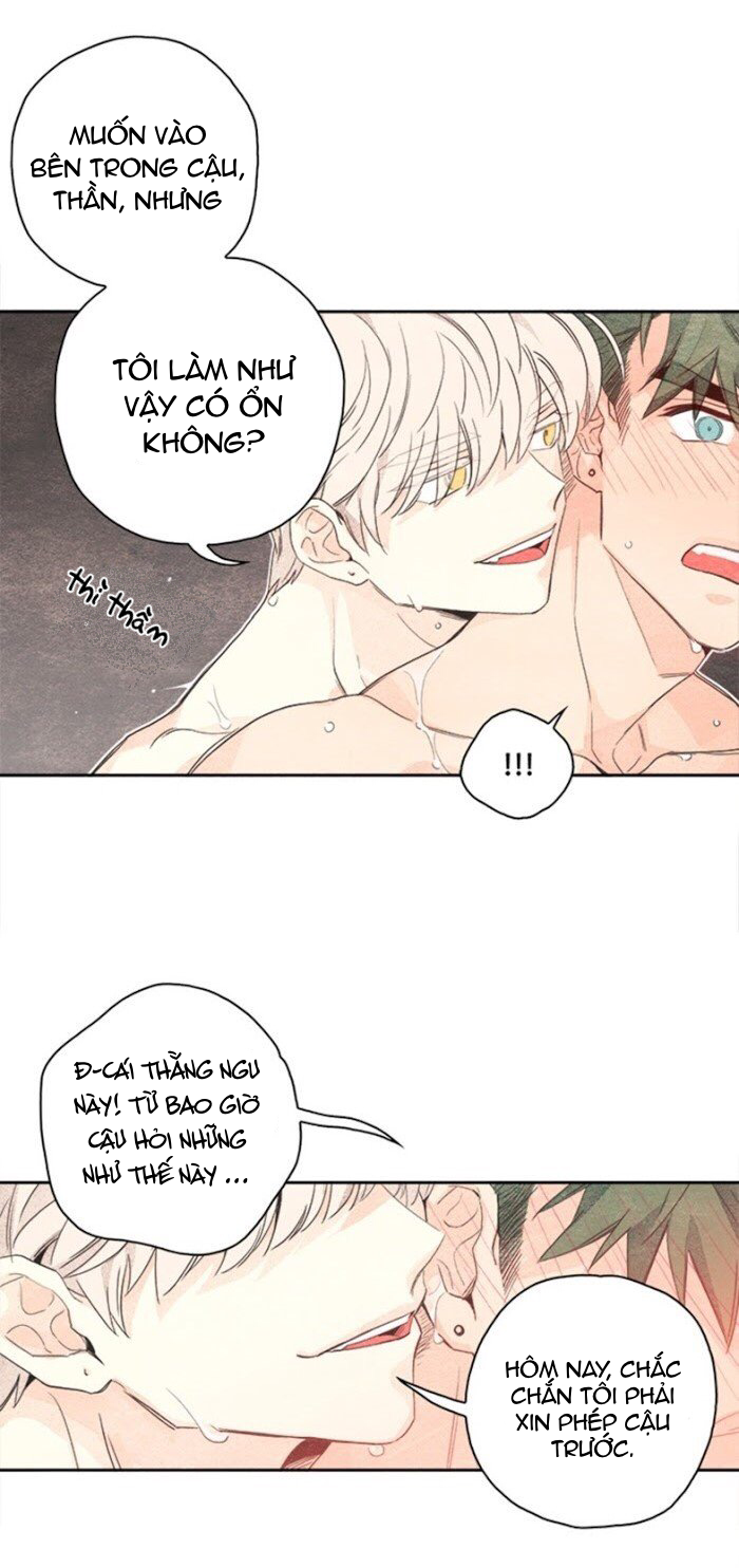 bắp cải bên dưới củ cải chapter 3 41