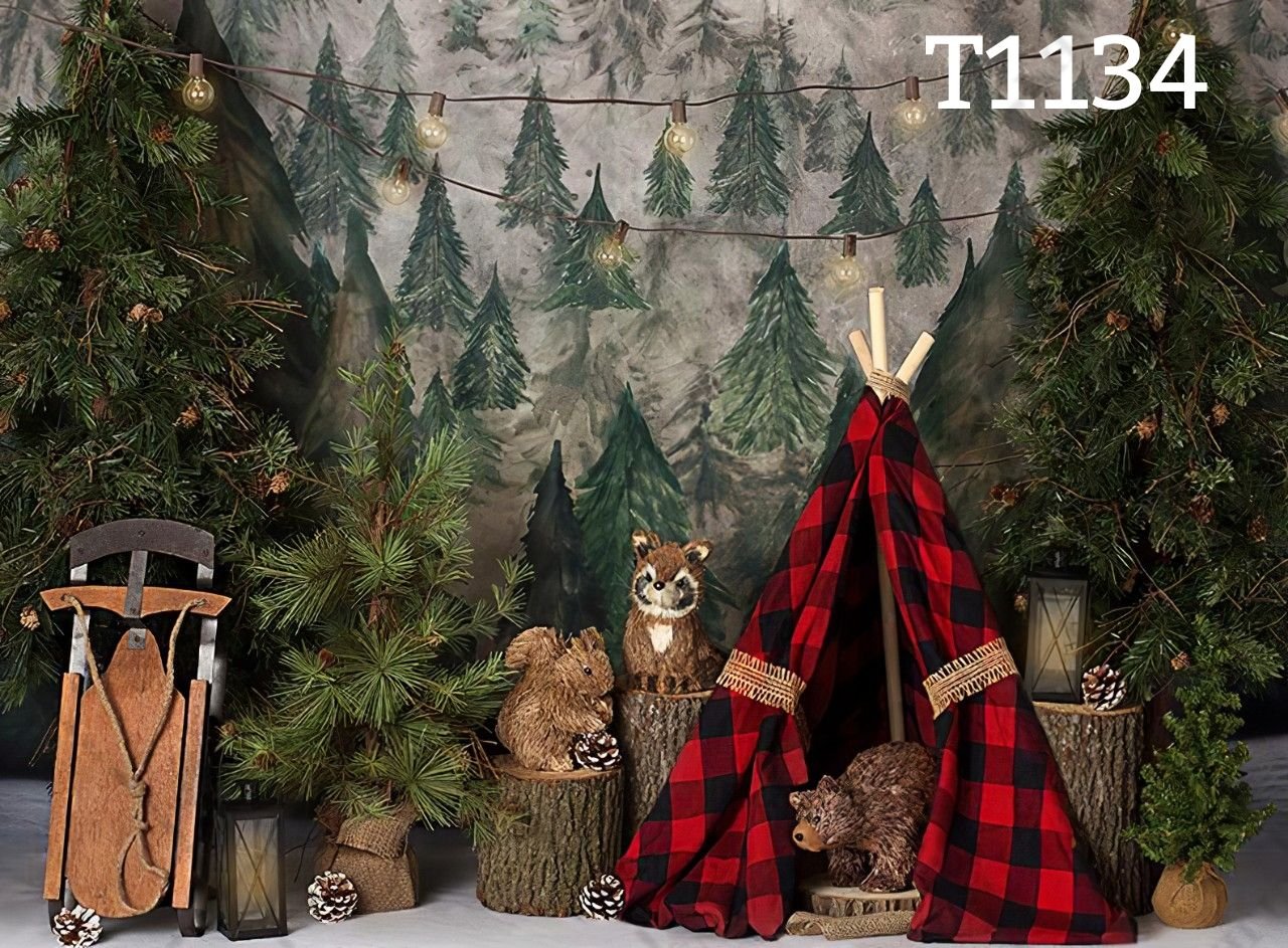 Thảm vải chụp ảnh Noel / Thảm vải treo tường Giáng Sinh / Tranh vải decor Noel 2023