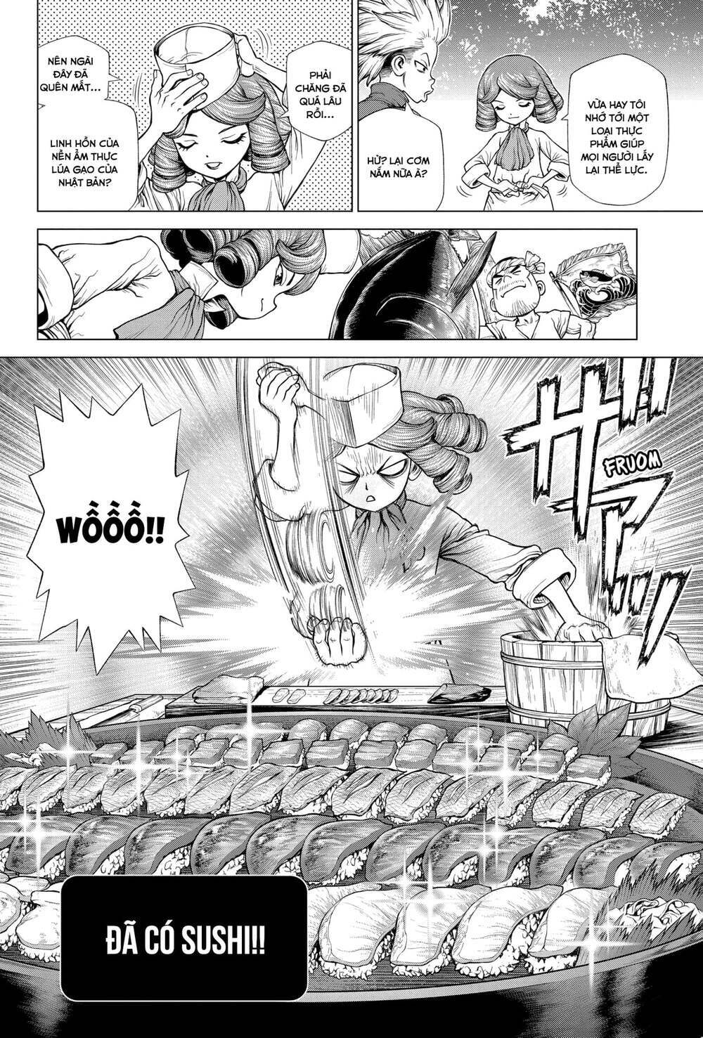 dr.stone - hồi sinh thế giới chapter 212 19