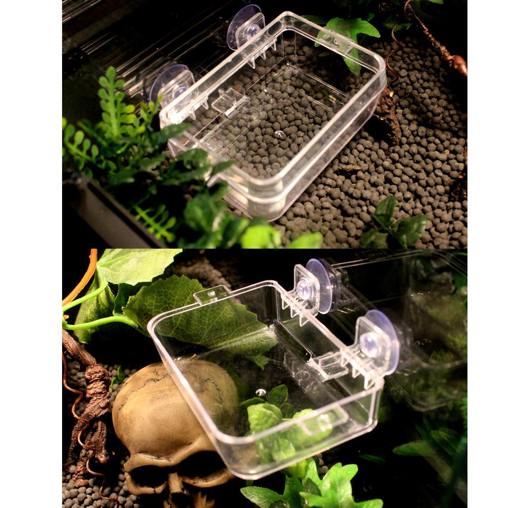 2x Tortoise Lizard Gecko Reptile Feeding Terrarium Water Dish & Food Bowl