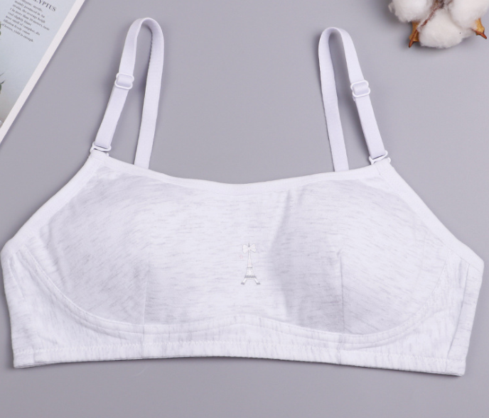 Bra / Áo Lá Nữ Sinh Cotton Hình Tháp Xuất Đông Âu Hàng Loại Đẹp.